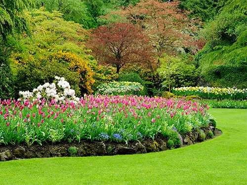 Commercial Landscape Services, Rosamond, CA Commercial Landscape Services, Rosamond, CA