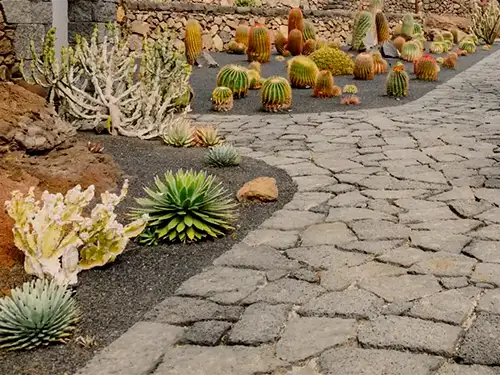 Desert Scapes, Rosamond, CA Desert Scapes, Rosamond, CA