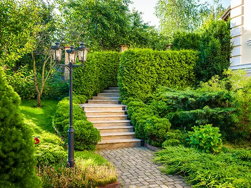 Residential Landscape Services, Rosamond, CA