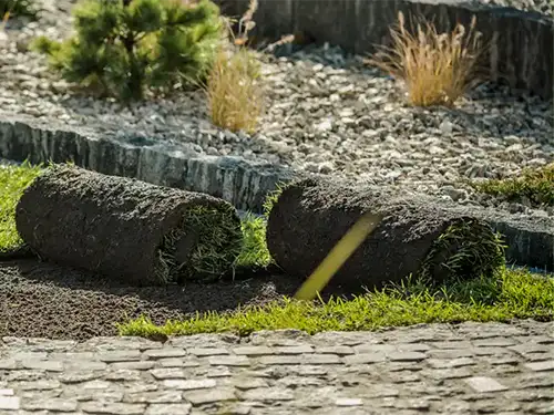 Sod Installation, Rosamond, CA Sod Installation, Rosamond, CA